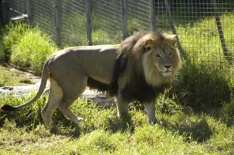 zoo_37 [800x600].jpg